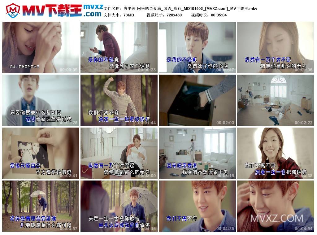 唐平波-回来吧亲爱滴_国语_流行_MD101403